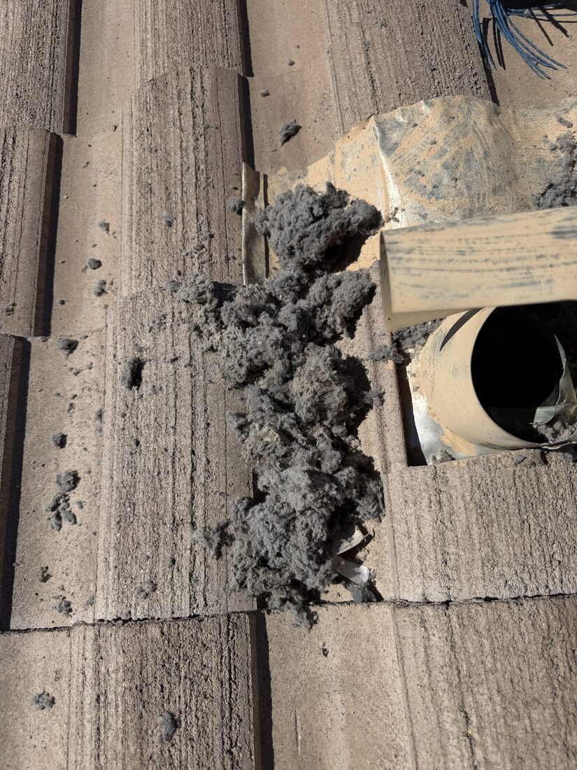 Lint cleared from a rooftop dryer vent